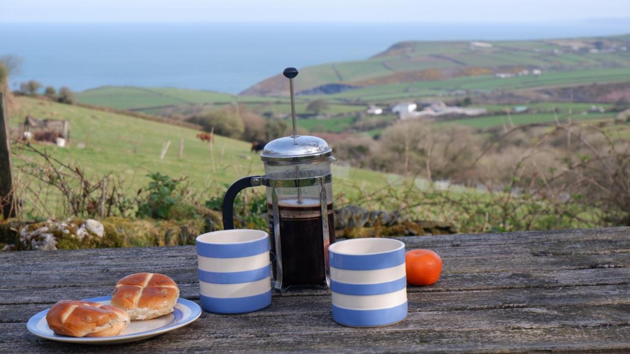 Polrunny Farm Seaberry Cottage With A Sea View And Log Burner Boscastle Buitenkant foto
