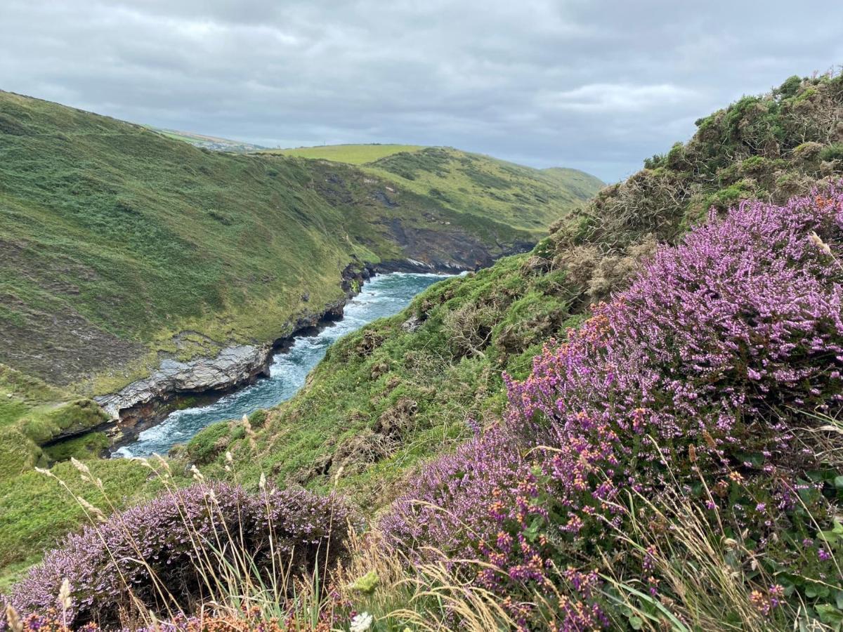 Polrunny Farm Seaberry Cottage With A Sea View And Log Burner Boscastle Buitenkant foto