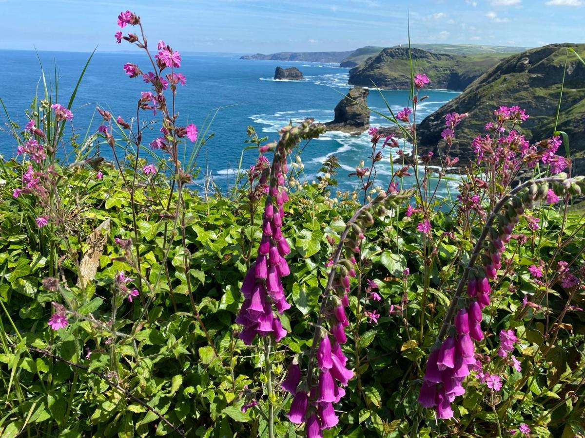Polrunny Farm Seaberry Cottage With A Sea View And Log Burner Boscastle Buitenkant foto