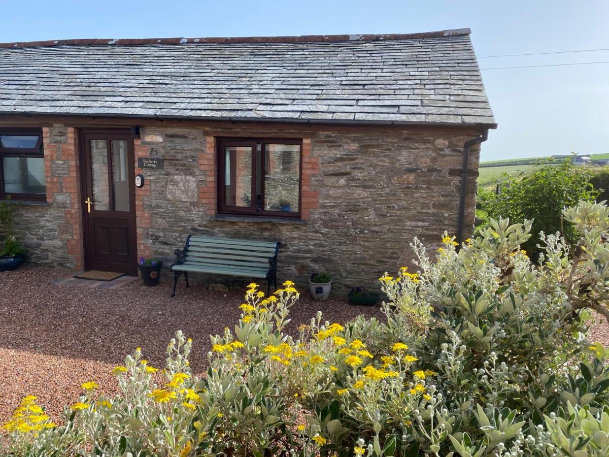 Polrunny Farm Seaberry Cottage With A Sea View And Log Burner Boscastle Buitenkant foto