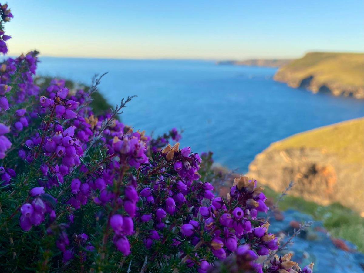 Polrunny Farm Seaberry Cottage With A Sea View And Log Burner Boscastle Buitenkant foto