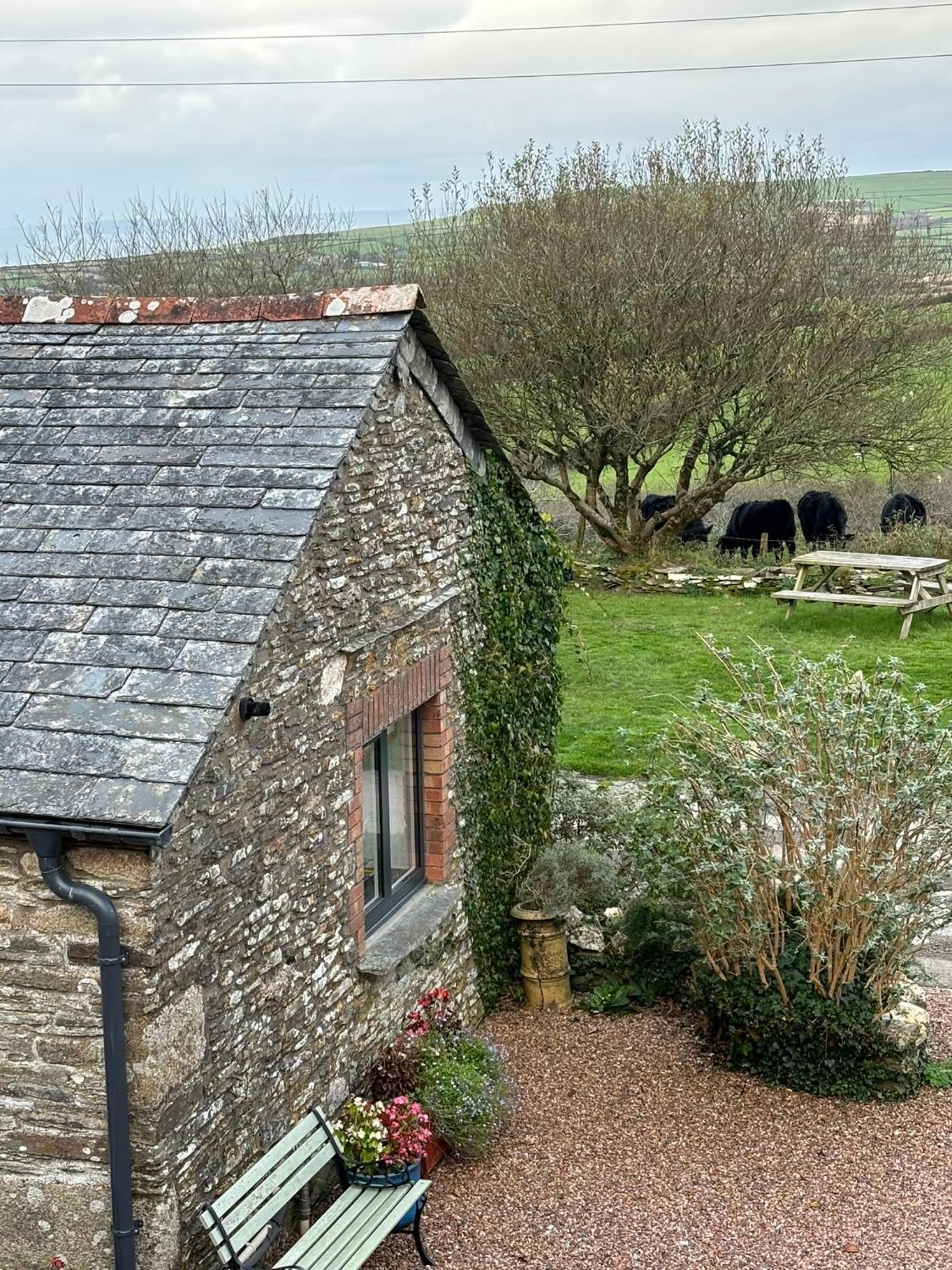 Polrunny Farm Seaberry Cottage With A Sea View And Log Burner Boscastle Buitenkant foto